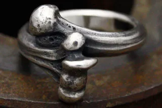 Humerus Ring